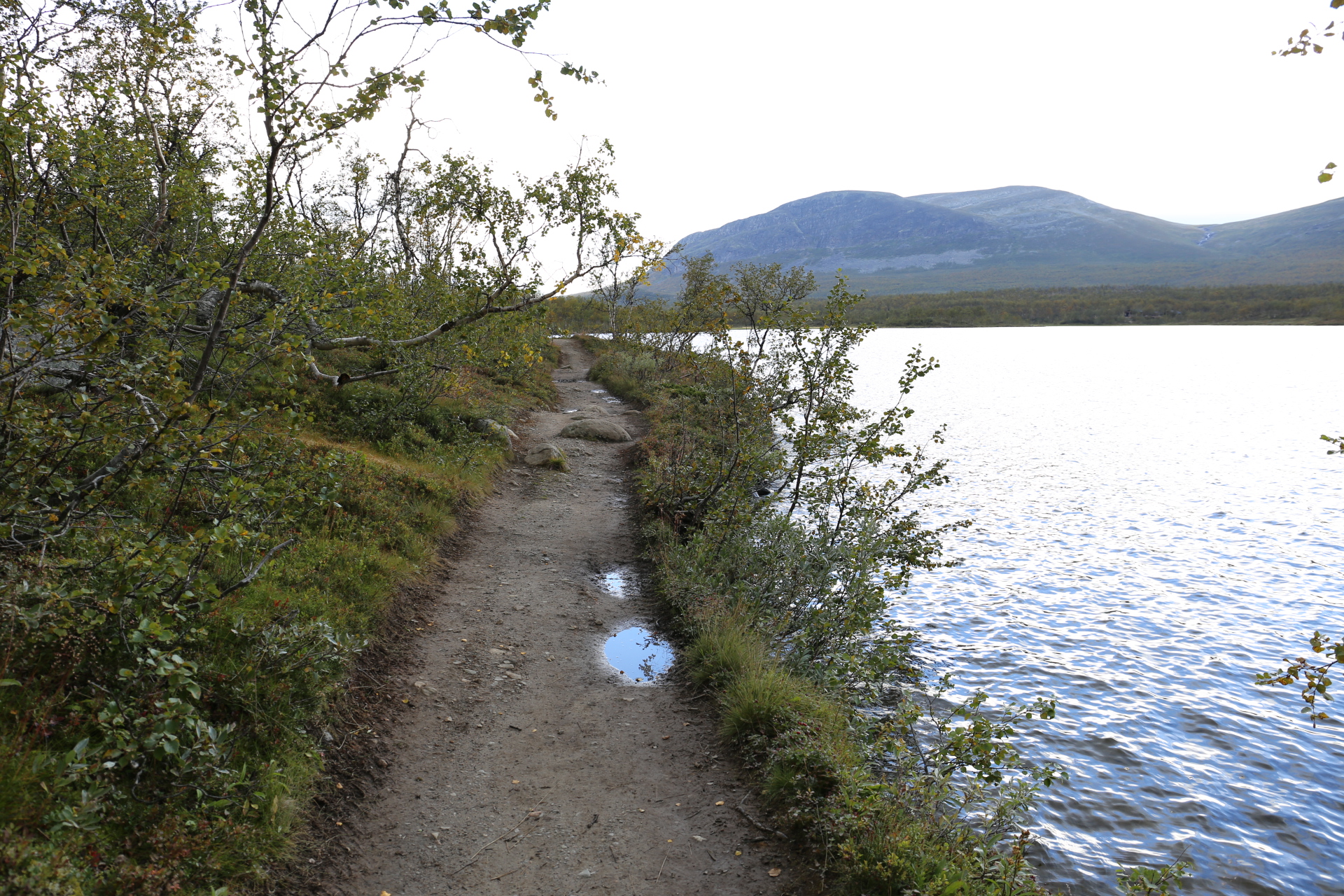 På väg till Treriksröset