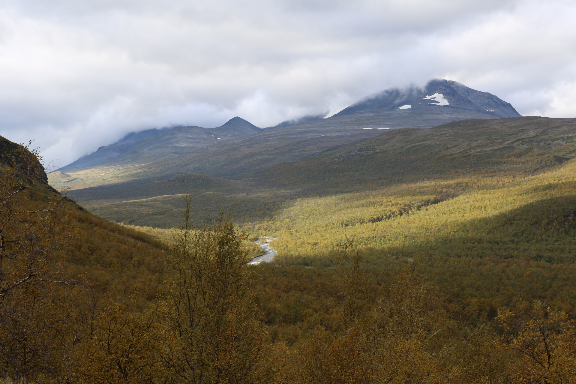 "Björnar" med horn på Blåfjellet