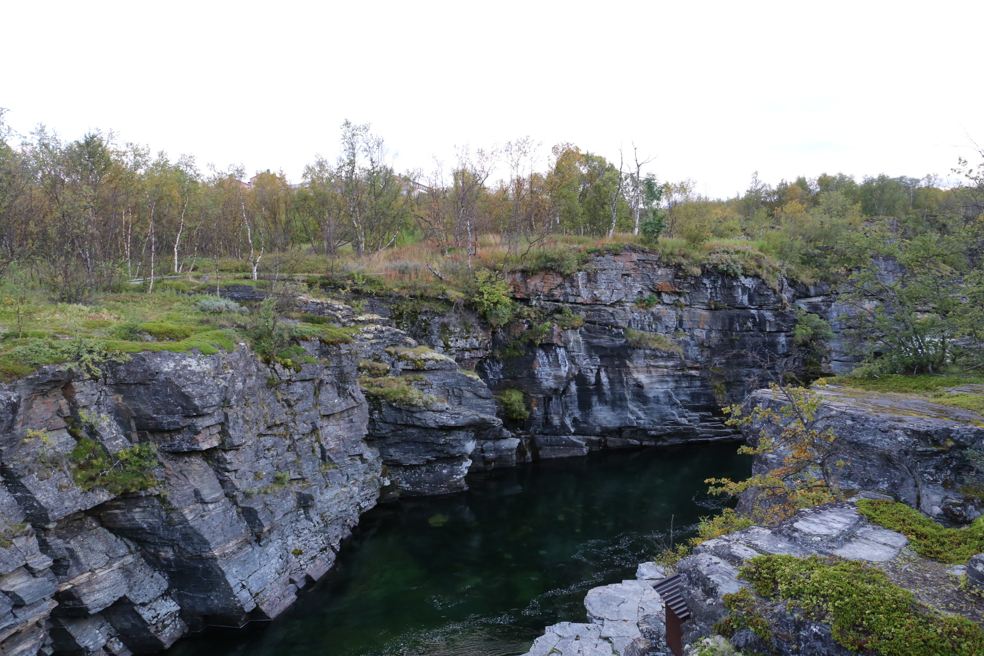 Rakkasjokk vid Björkliden