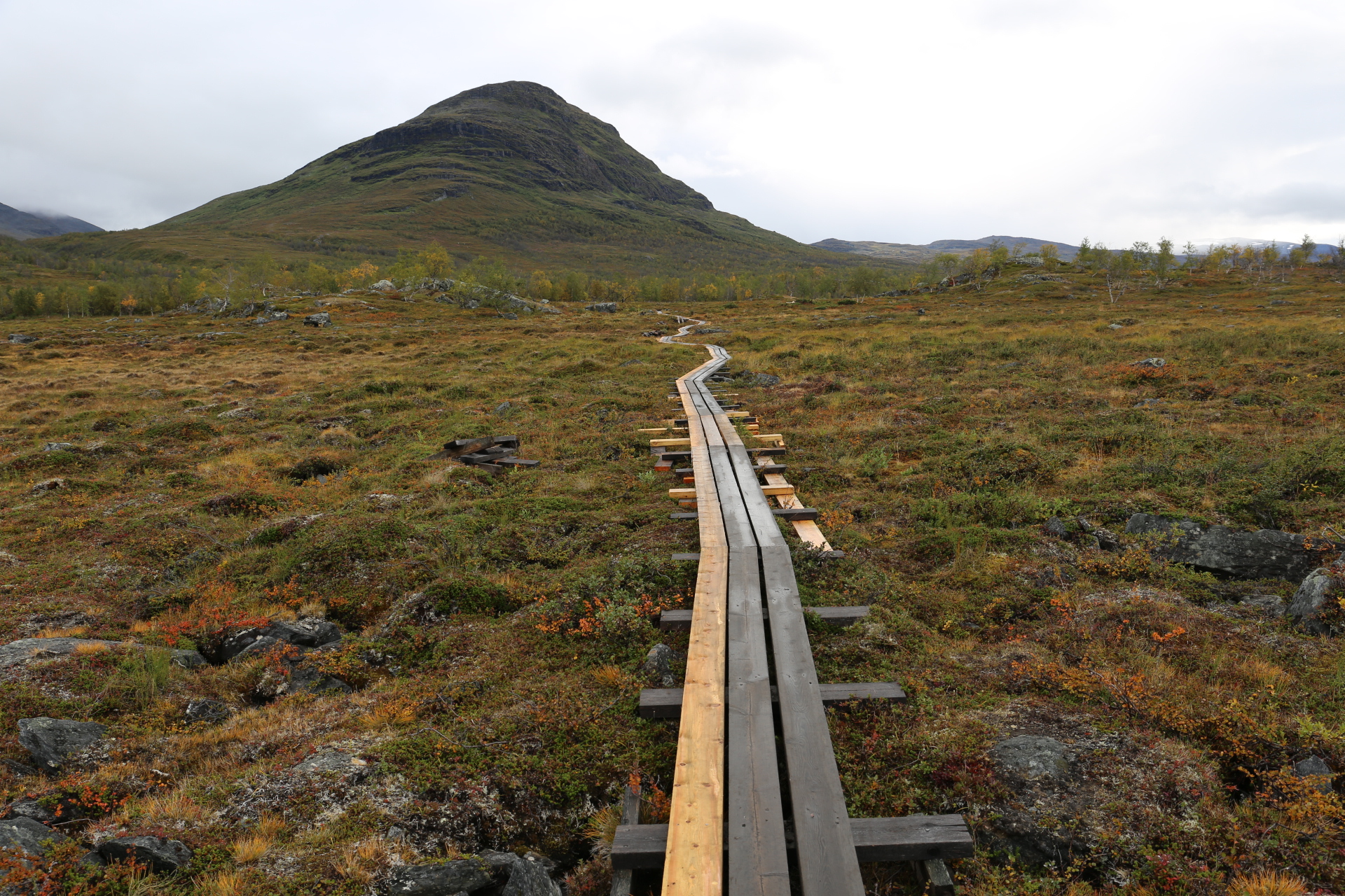 Spång på Kungsleden. Lätt att gå på men hårt för fötterna.